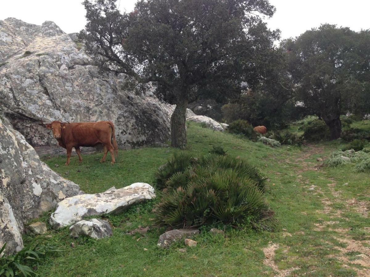 Apartamento En Bolonia, Tarifa